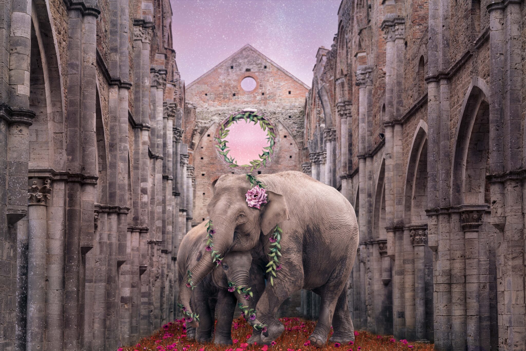 Union of elephant mother-child love