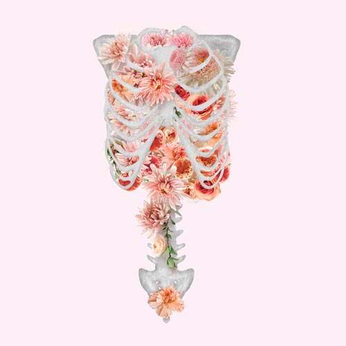 Ribcage with flowers