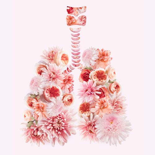 Human floral lungs artwork